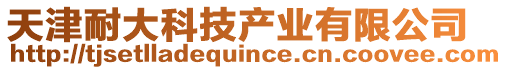 天津耐大科技產業有限公司