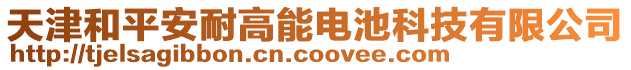 天津和平安耐高能電池科技有限公司