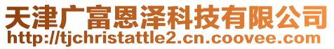 天津廣富恩澤科技有限公司