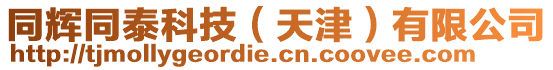 同輝同泰科技(天津)有限公司