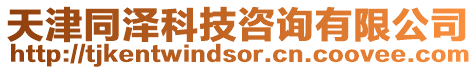 天津同澤科技咨詢有限公司