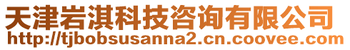 天津巖淇科技咨詢有限公司