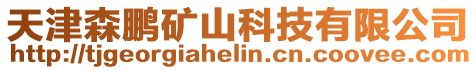 天津森鵬礦山科技有限公司