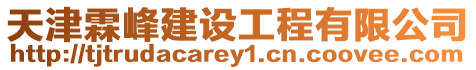 天津霖峰建設(shè)工程有限公司