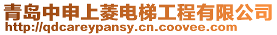 青島中申上菱電梯工程有限公司