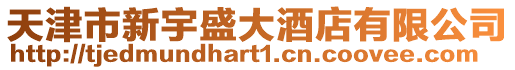 天津市新宇盛大酒店有限公司