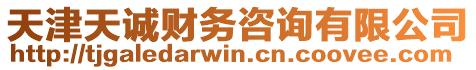 天津天誠財務(wù)咨詢有限公司