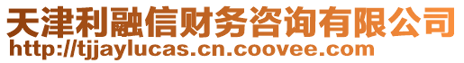 天津利融信財務咨詢有限公司