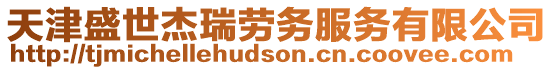 天津盛世杰瑞勞務(wù)服務(wù)有限公司