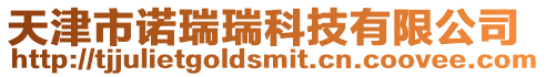 天津市諾瑞瑞科技有限公司