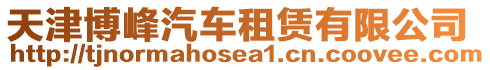 天津博峰汽車租賃有限公司