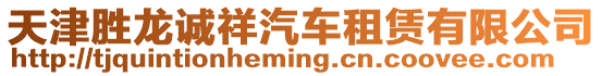 天津勝龍誠祥汽車租賃有限公司