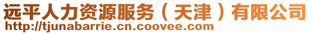 遠平人力資源服務(天津)有限公司