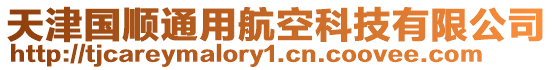 天津國順通用航空科技有限公司