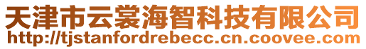 天津市云裳海智科技有限公司
