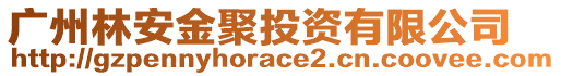 廣州林安金聚投資有限公司