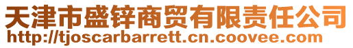 天津市盛鋅商貿(mào)有限責(zé)任公司
