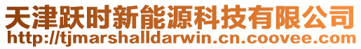 天津躍時新能源科技有限公司