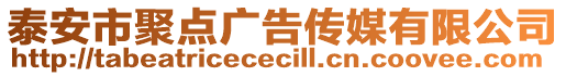 泰安市聚點(diǎn)廣告?zhèn)髅接邢薰? style=