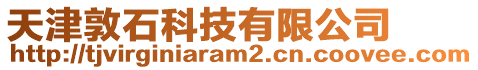 天津敦石科技有限公司