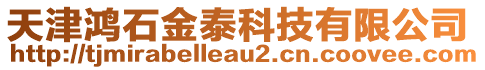 天津鴻石金泰科技有限公司