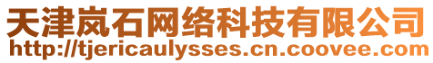 天津嵐石網(wǎng)絡(luò)科技有限公司