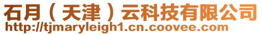 石月（天津）云科技有限公司