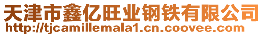 天津市鑫億旺業(yè)鋼鐵有限公司