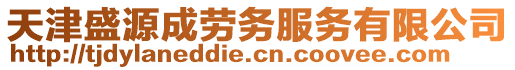 天津盛源成勞務(wù)服務(wù)有限公司