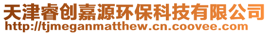 天津睿創(chuàng)嘉源環(huán)保科技有限公司