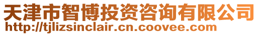 天津市智博投資咨詢有限公司