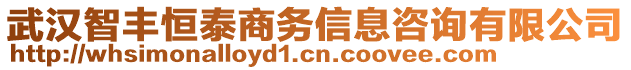 武漢智豐恒泰商務(wù)信息咨詢有限公司