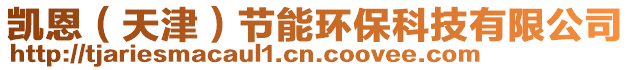 凱恩(天津)節(jié)能環(huán)保科技有限公司