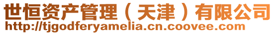 世恒資產管理(天津)有限公司