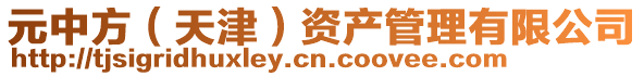 元中方(天津)資產管理有限公司