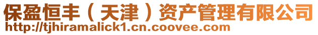 保盈恒豐(天津)資產(chǎn)管理有限公司