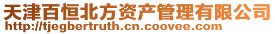天津百恒北方資產管理有限公司