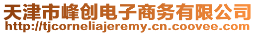 天津市峰創電子商務有限公司