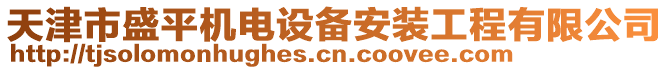 天津市盛平機(jī)電設(shè)備安裝工程有限公司