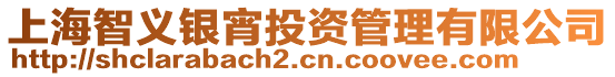 上海智義銀宵投資管理有限公司