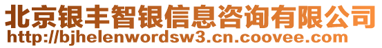 北京銀豐智銀信息咨詢有限公司