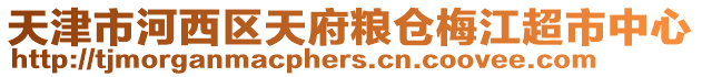 天津市河西區(qū)天府糧倉(cāng)梅江超市中心