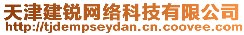 天津建銳網絡科技有限公司