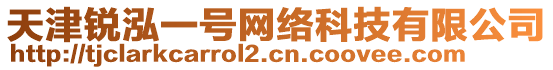 天津銳泓一號網絡科技有限公司