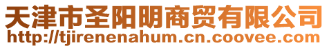 天津市圣陽明商貿有限公司