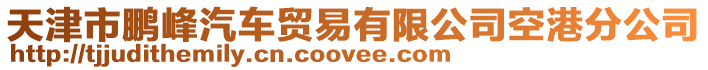 天津市鵬峰汽車貿易有限公司空港分公司