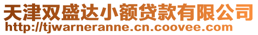 天津雙盛達小額貸款有限公司