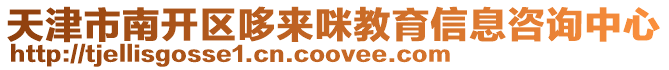 天津市南開區哆來咪教育信息咨詢中心