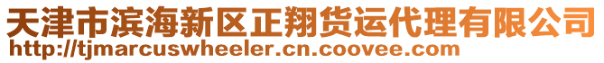 天津市濱海新區(qū)正翔貨運(yùn)代理有限公司