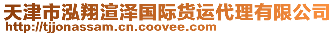 天津市泓翔渲澤國際貨運代理有限公司